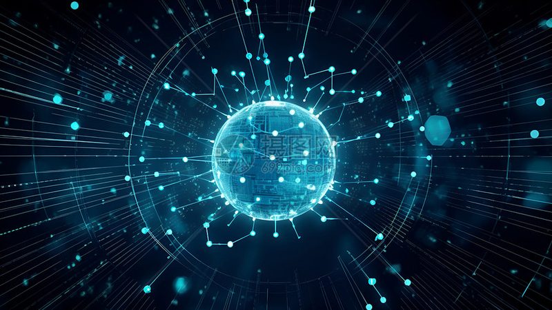 定制化与标准化：教育机构数字化解决方案的差异化选择**